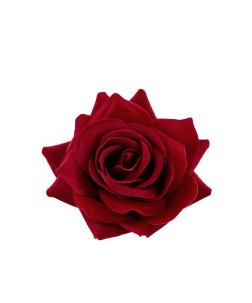 Ozdobný kvet ruža