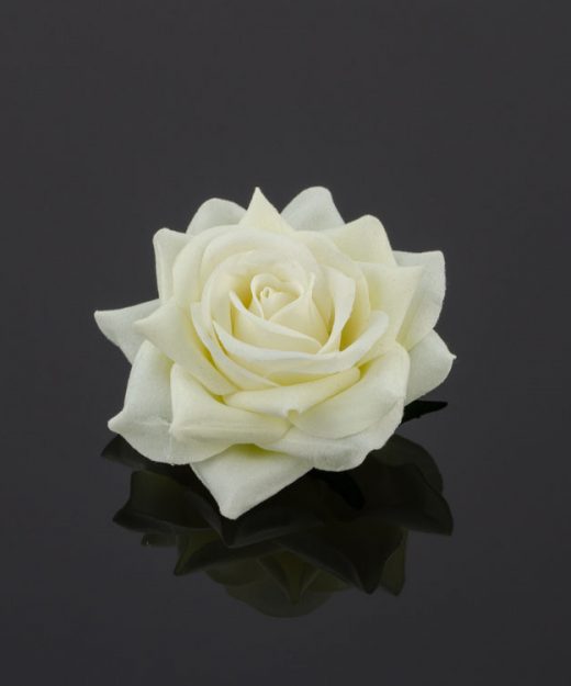 Ozdobný kvet ruža